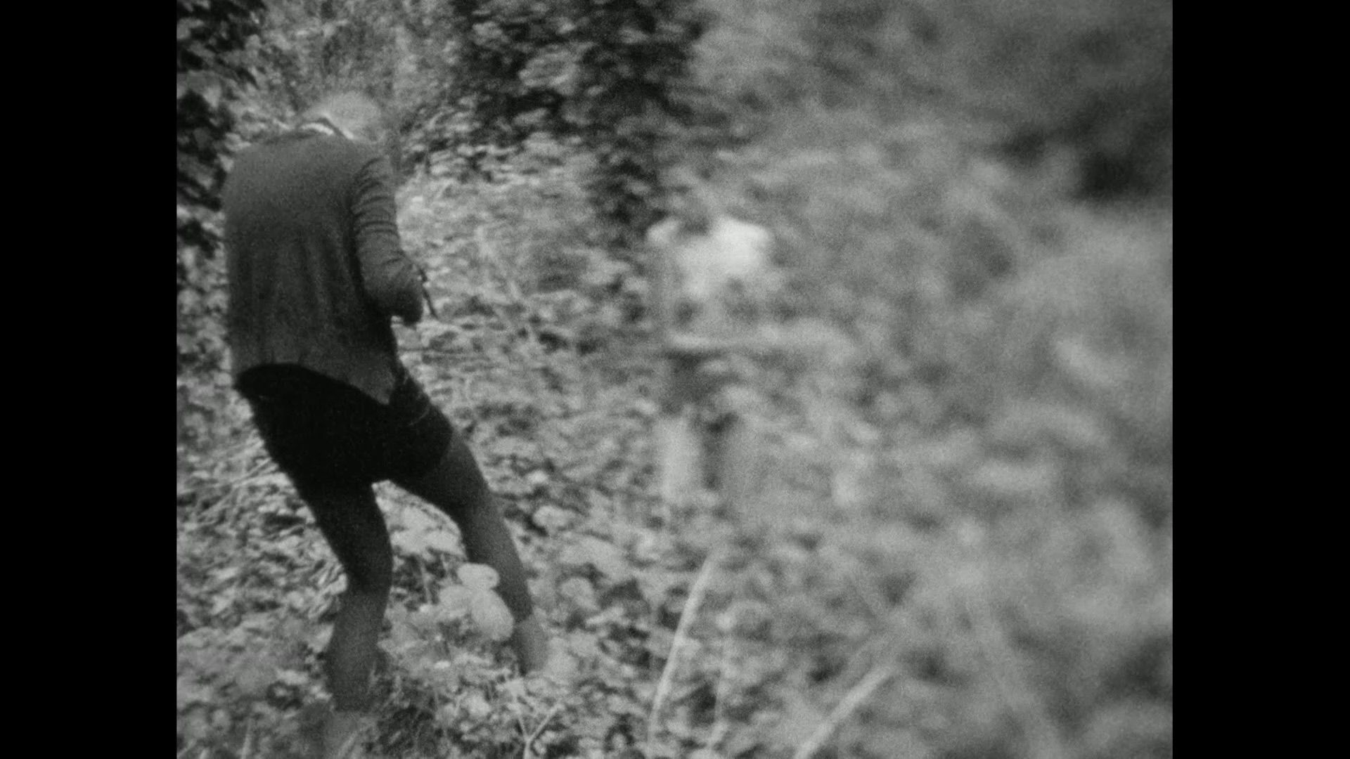 Selina Mayer | A Film On Film